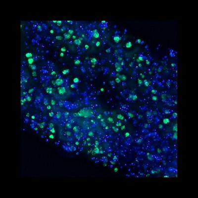 cell-based delivery icon background